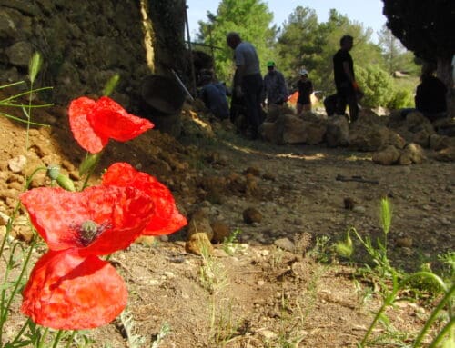 ÈXIT ROTUND EN LES QUARTES JORNADES DE PEDRA SECA